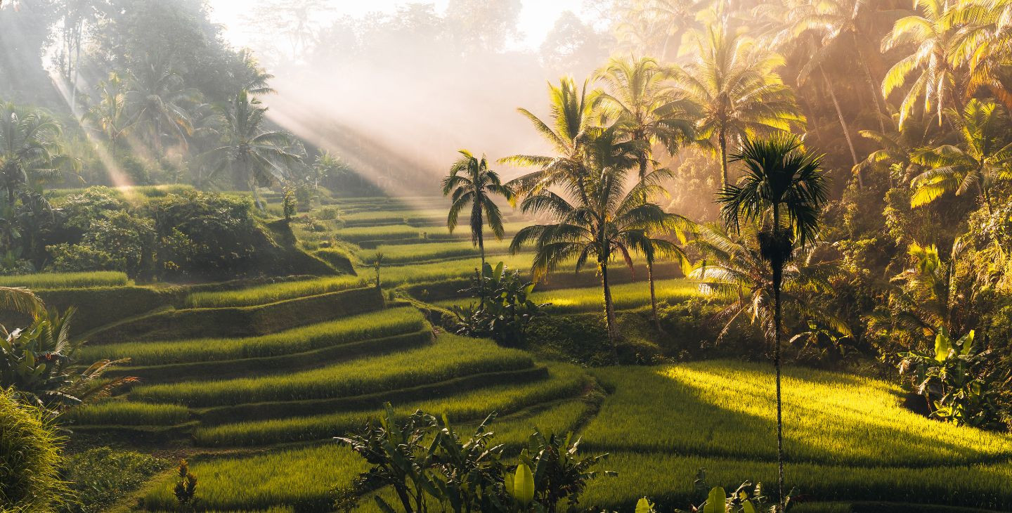 BALI